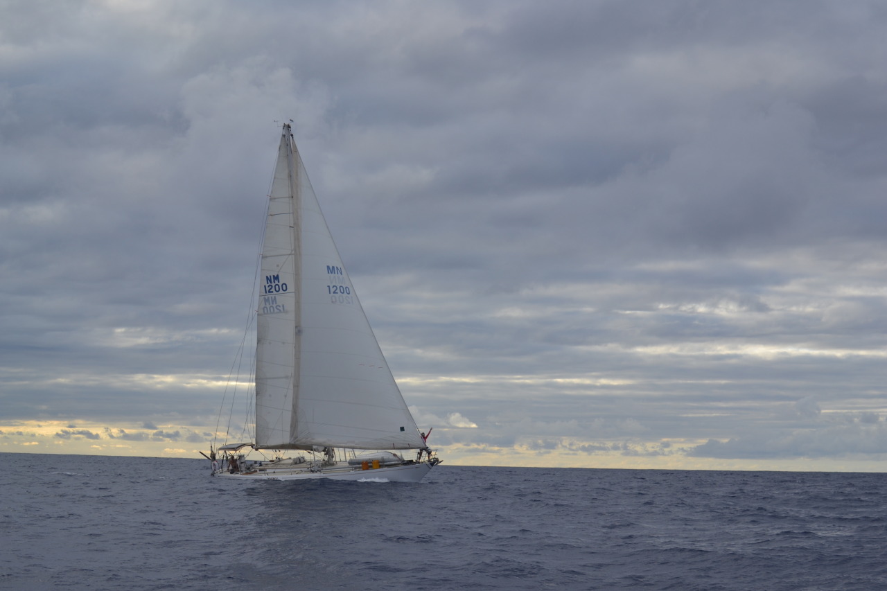 Sailing from Las Palmas to Lanzarote With Synergy